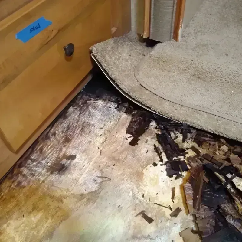 Wood Floor Water Damage in Allegheny County, PA